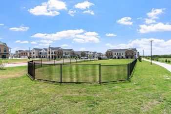 Dog park